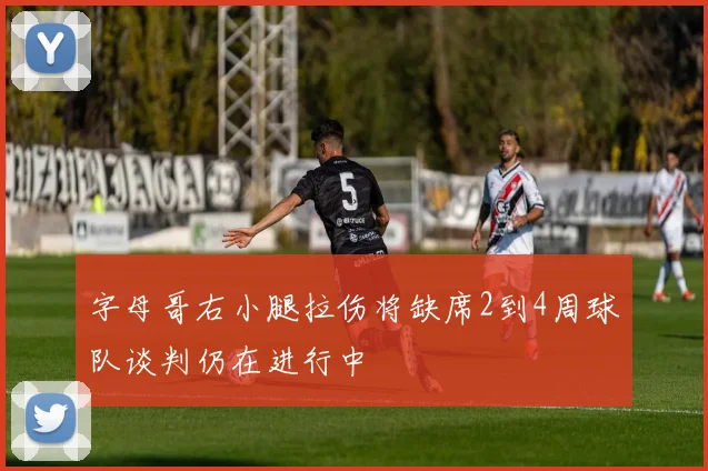 字母哥右小腿拉伤将缺席2到4周球队谈判仍在进行中