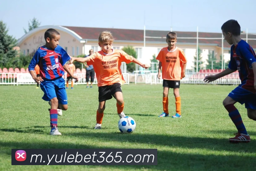 乐鱼体育平台生态图